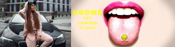ешки Аркадак