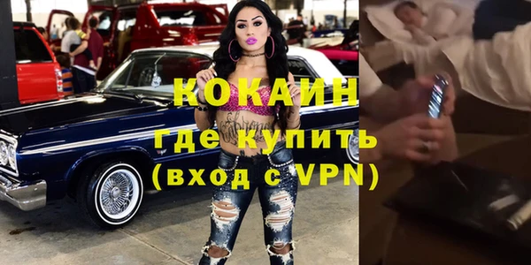 ешки Аркадак