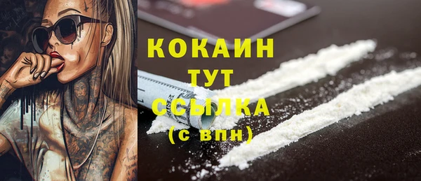 ешки Аркадак