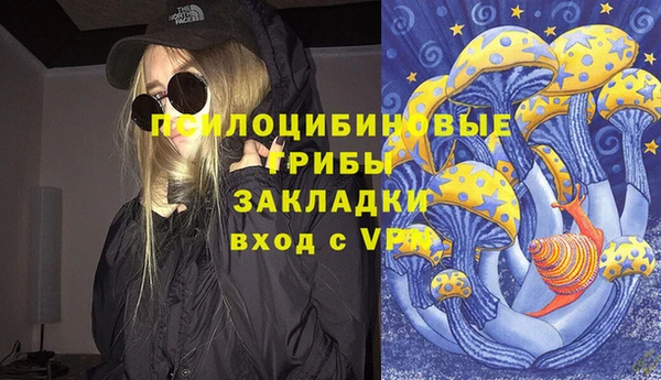ешки Аркадак