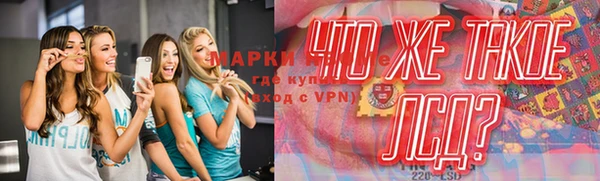 ешки Аркадак