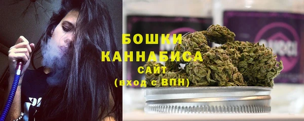 ешки Аркадак
