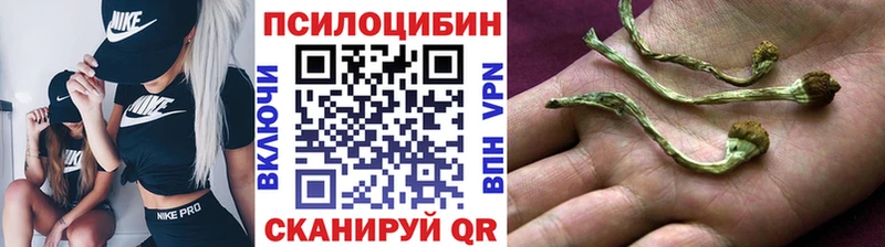 сколько стоит  Спасск-Дальний  Галлюциногенные грибы мицелий 